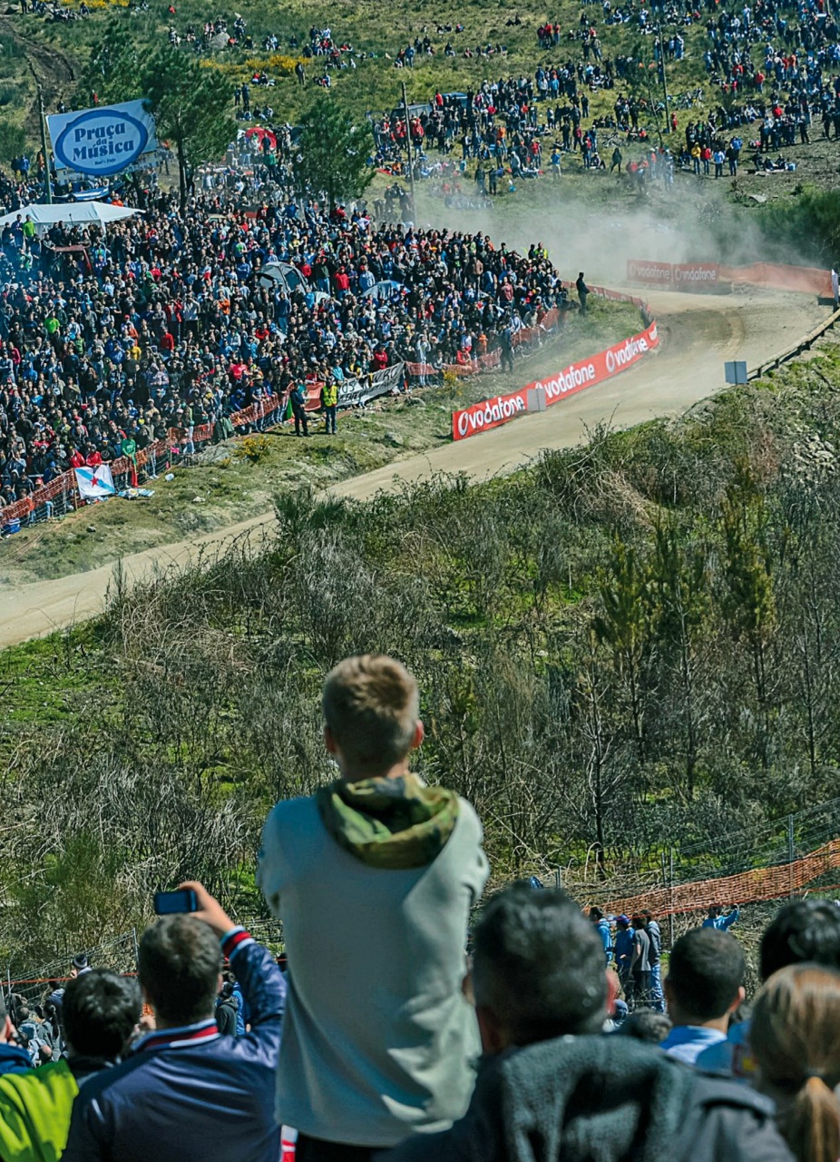 Auto Bild Preview Pages