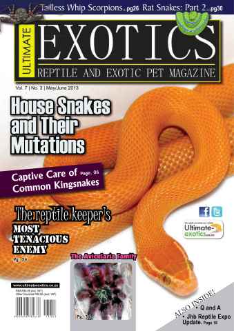Ultimate Exotics issue May-June 2013