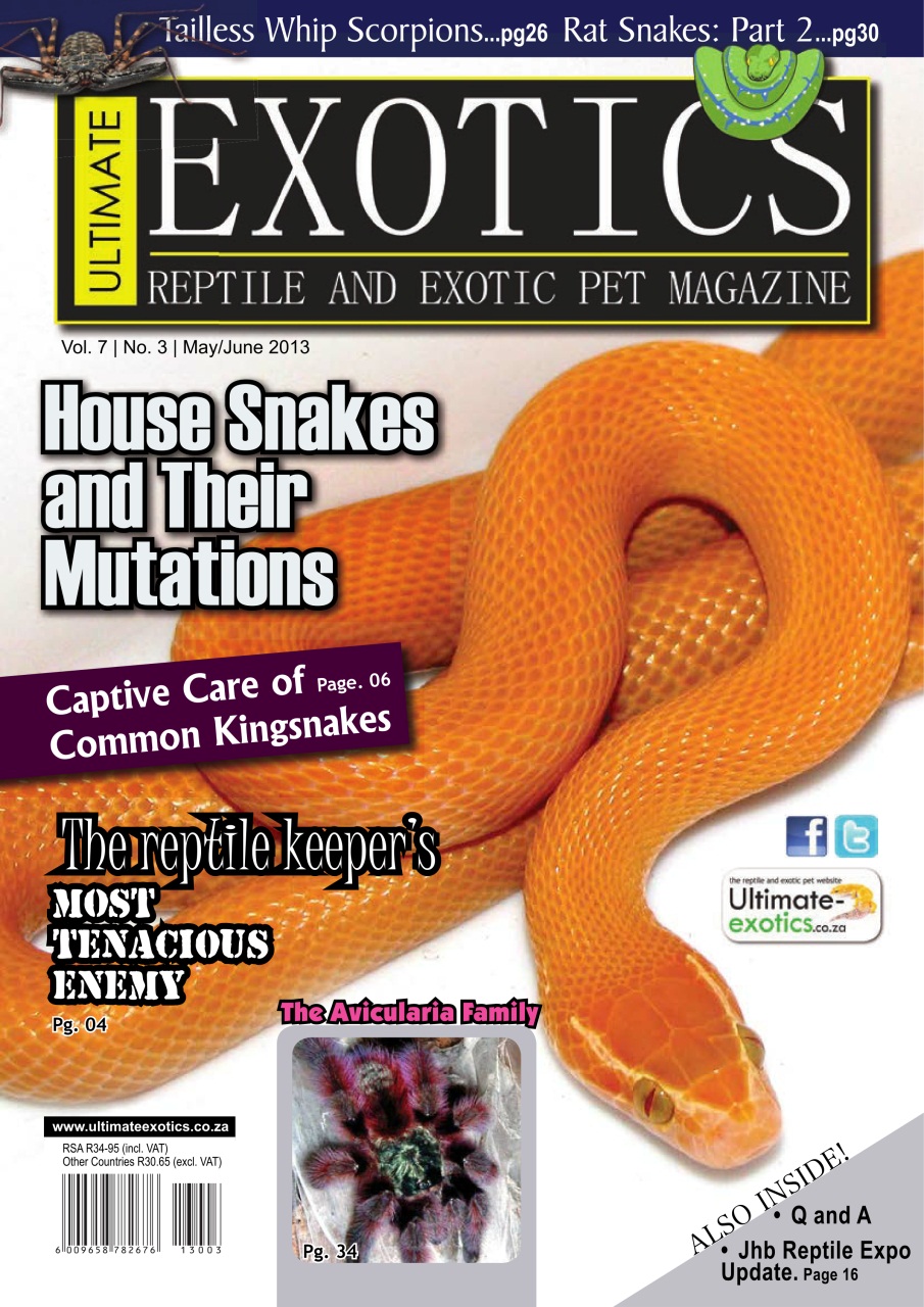 Ultimate Exotics Preview Pages