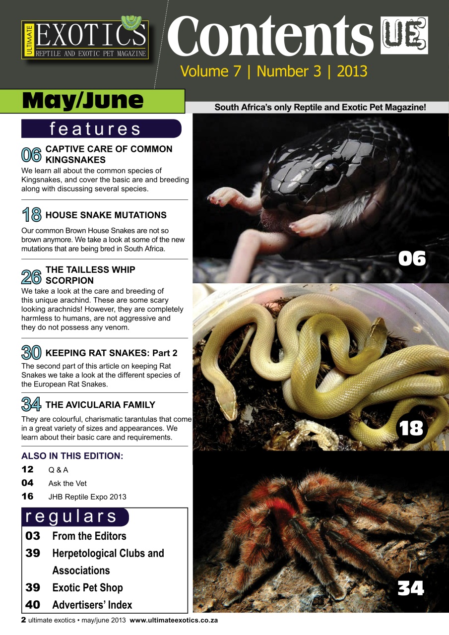 Ultimate Exotics Preview Pages