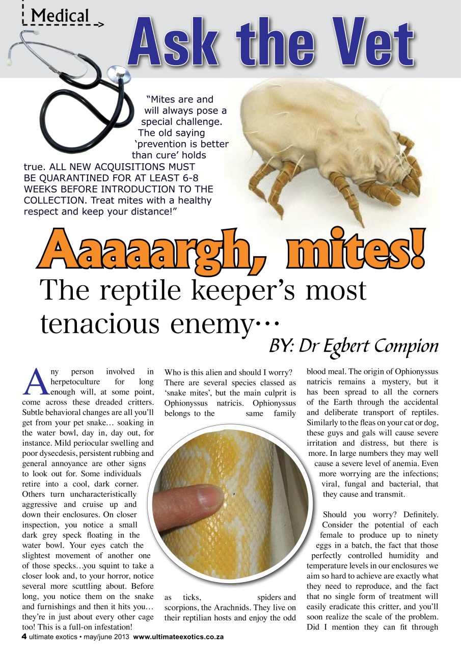 Ultimate Exotics Preview Pages