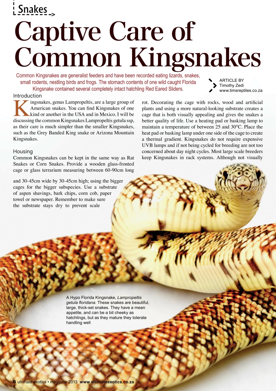 Ultimate Exotics Preview Pages