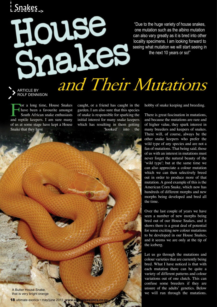 Ultimate Exotics Preview Pages