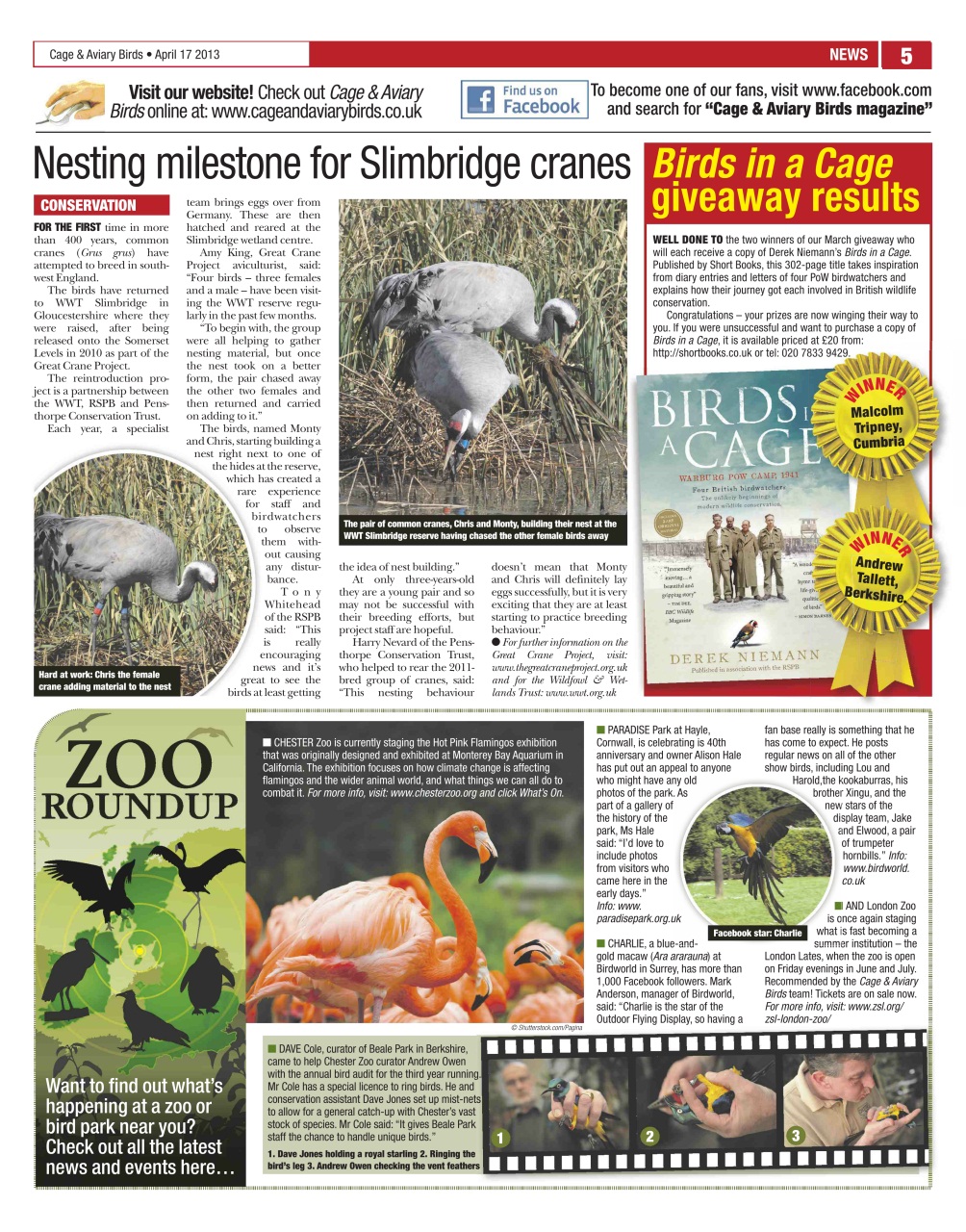 Cage & Aviary Birds Preview Pages