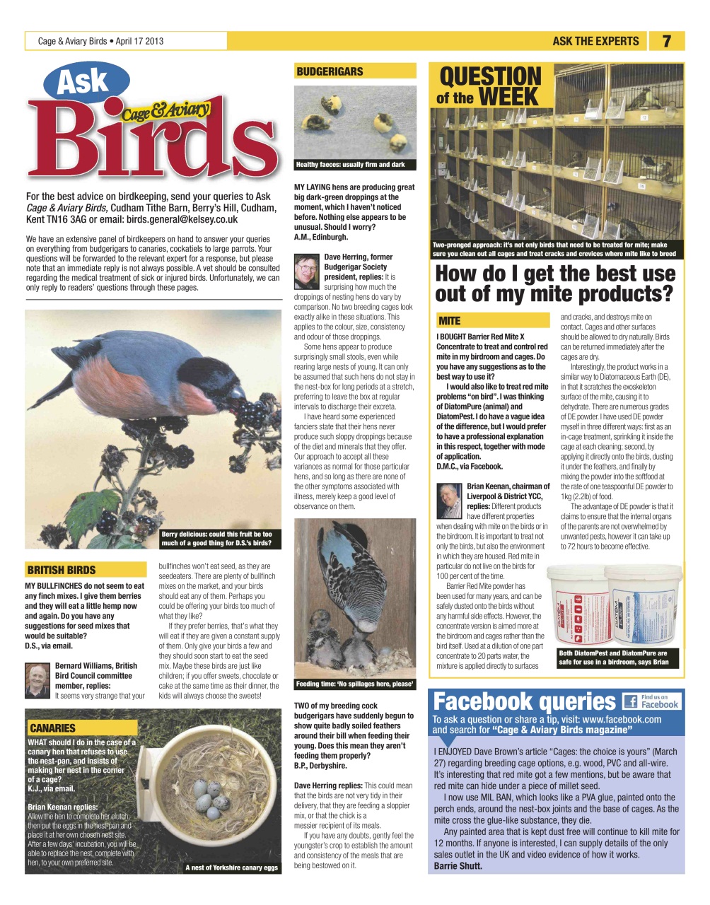 Cage & Aviary Birds Preview Pages