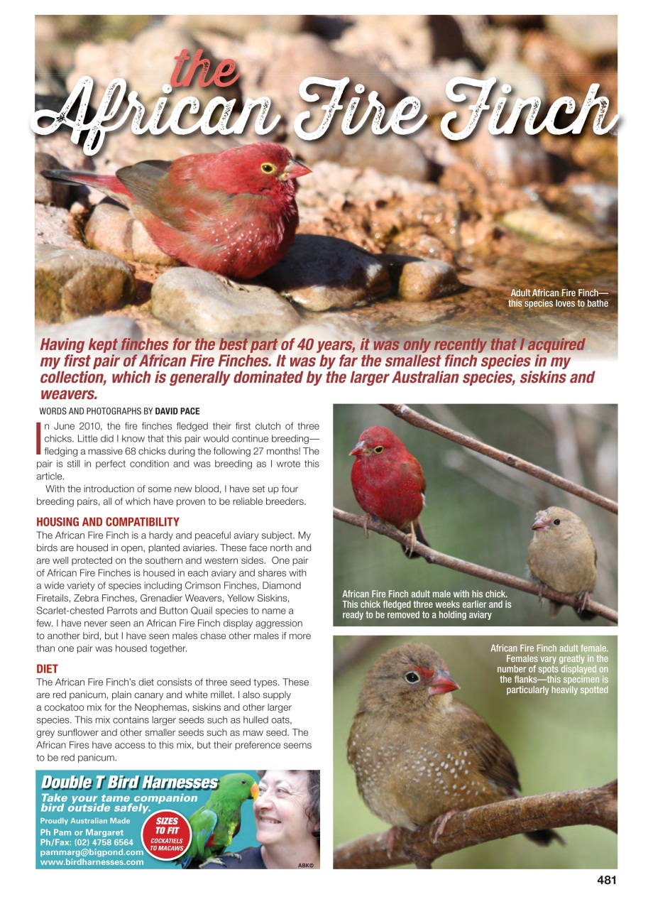 Australian Birdkeeper Magazine Preview Pages