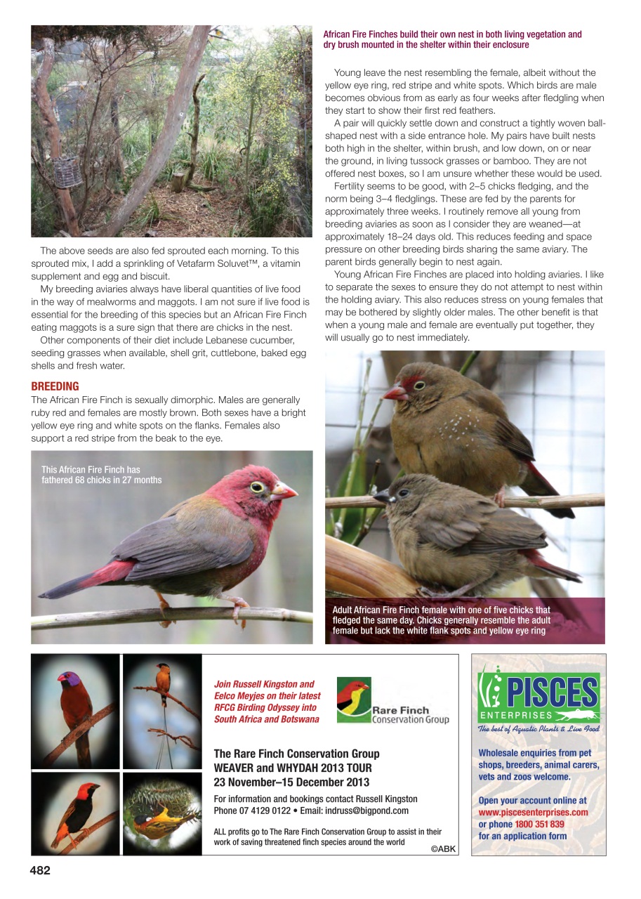 Australian Birdkeeper Magazine Preview Pages