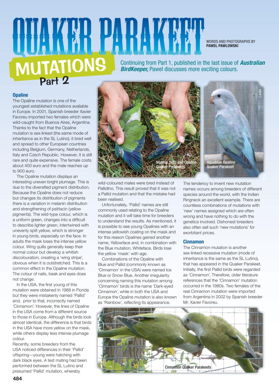 Australian Birdkeeper Magazine Preview Pages
