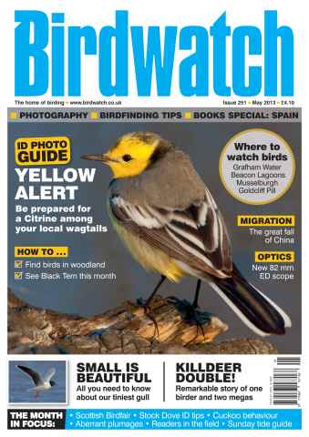 Birdwatch Magazine issue May 2013