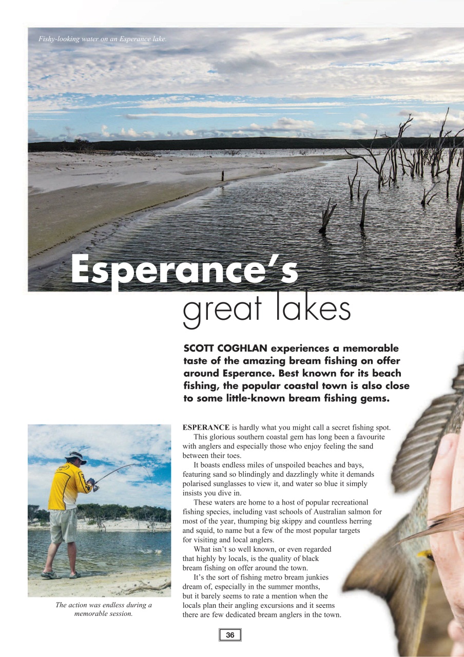 Western Angler Preview Pages