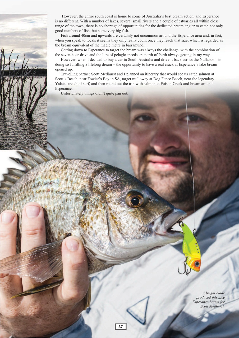 Western Angler Preview Pages