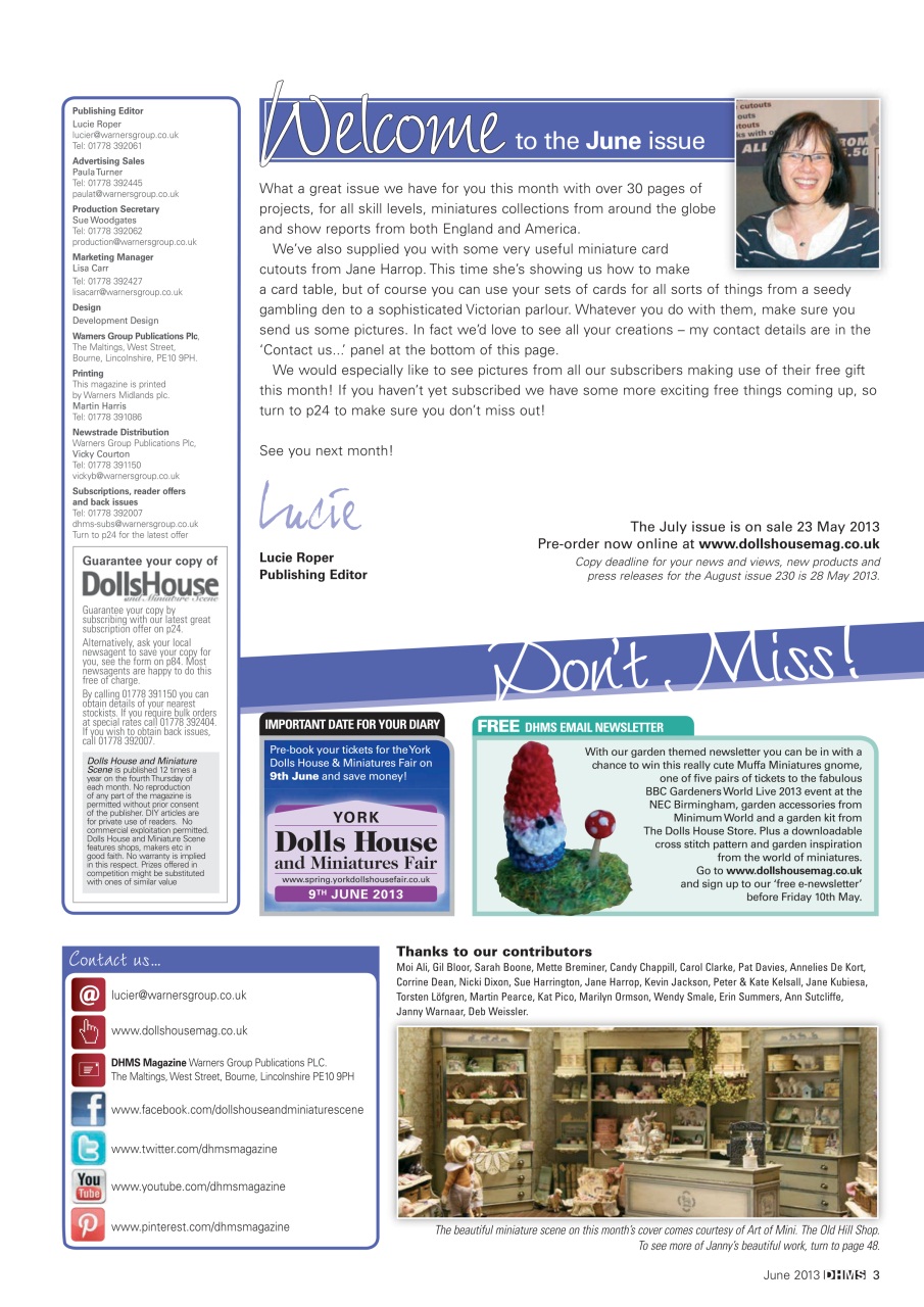 Dolls House and Miniature Scene Preview Pages