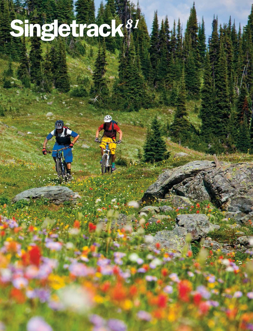 Singletrack Preview Pages