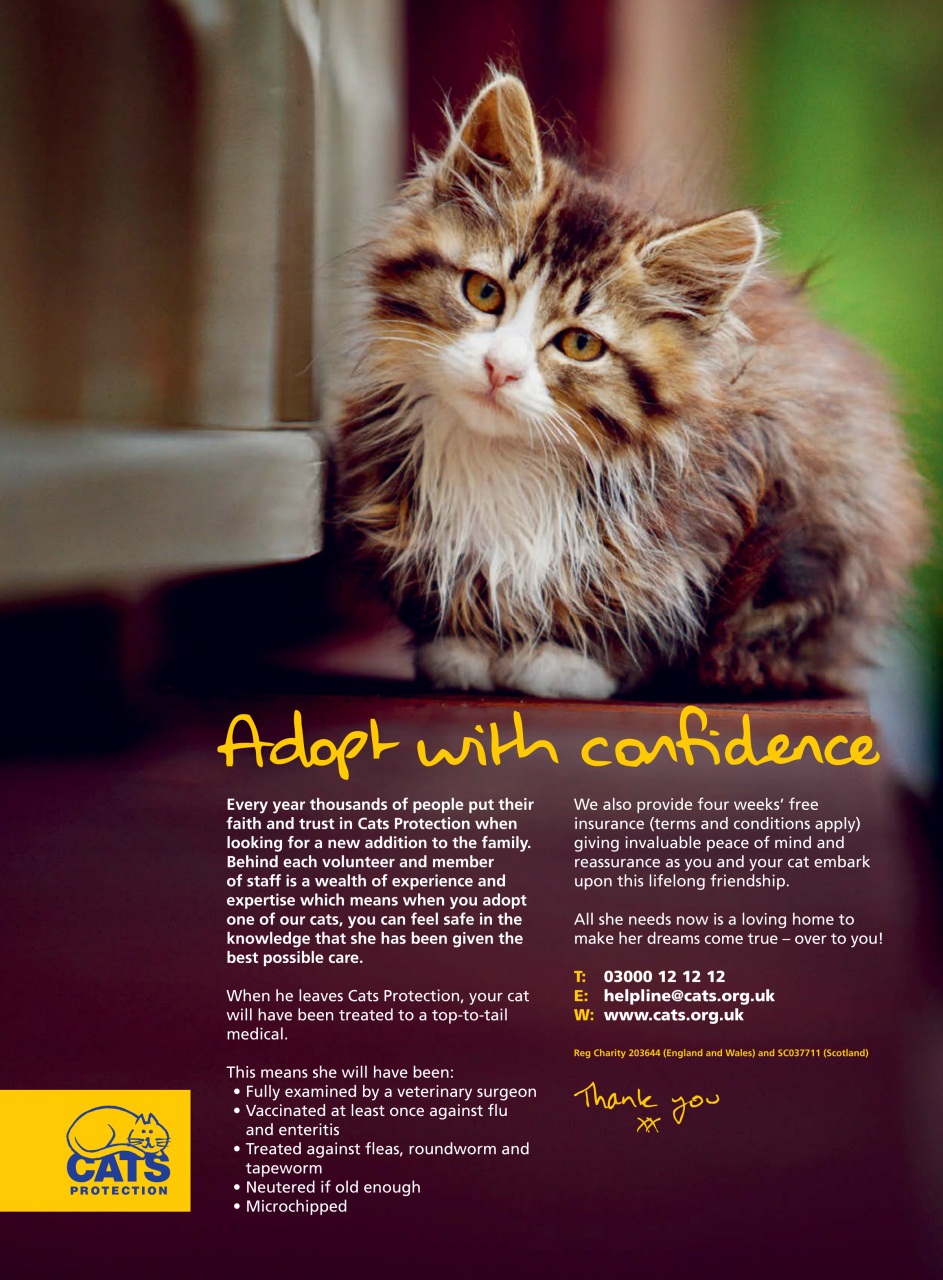 DIVA Magazine Preview Pages