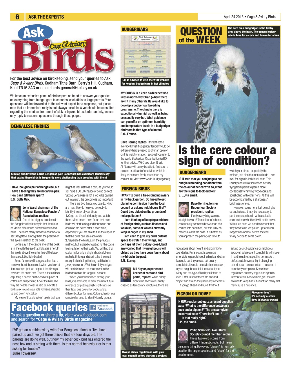 Cage & Aviary Birds Preview Pages