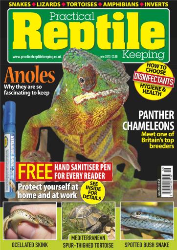 Practical Reptile Keeping issue 