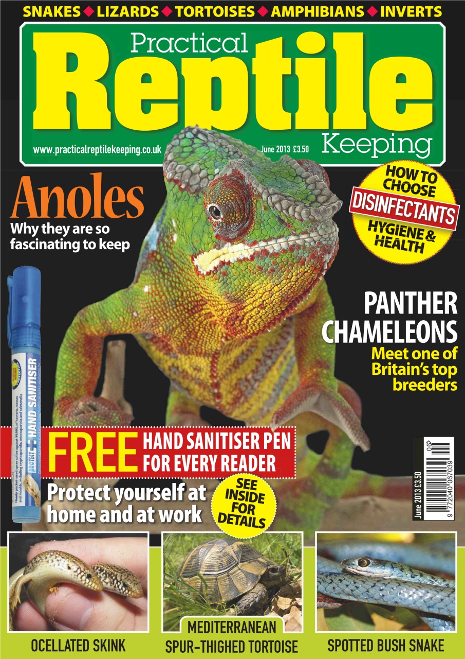 Practical Reptile Keeping Preview Pages