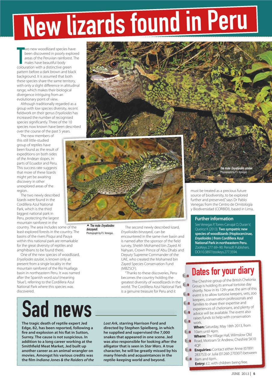 Practical Reptile Keeping Preview Pages
