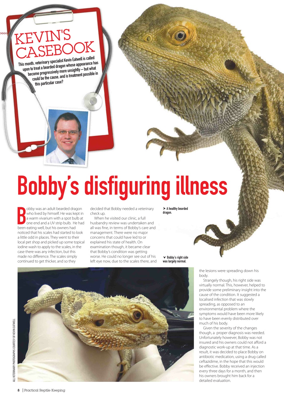 Practical Reptile Keeping Preview Pages