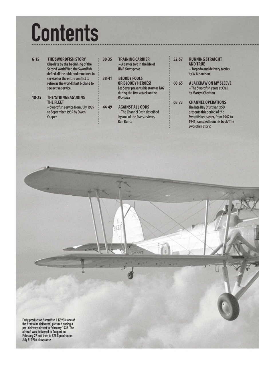 Aeroplane Icons Preview Pages
