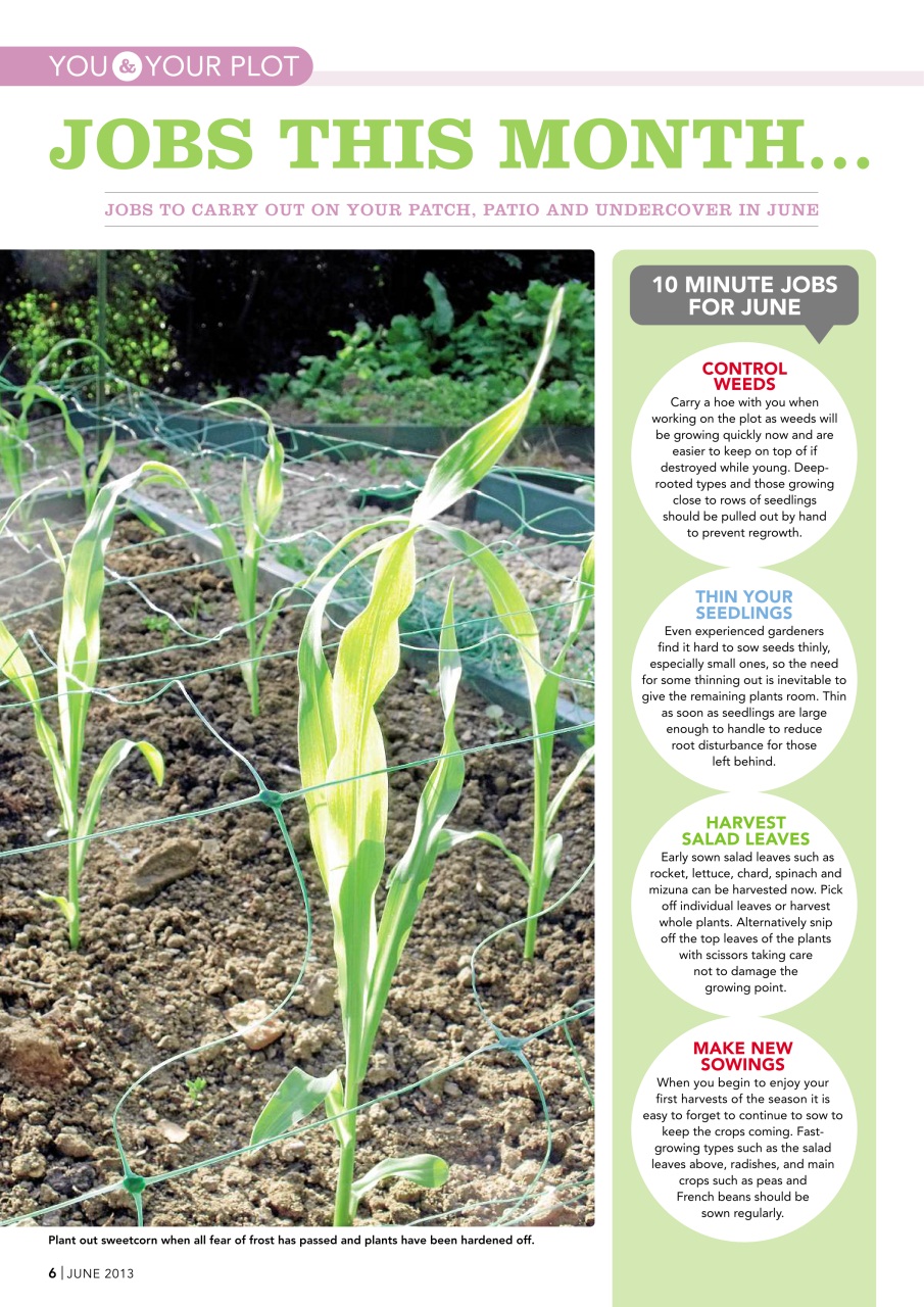 Kitchen Garden Magazine Preview Pages