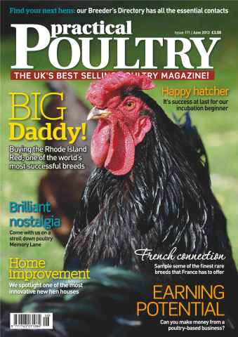 Practical Poultry issue Rhode Island Red June 2013