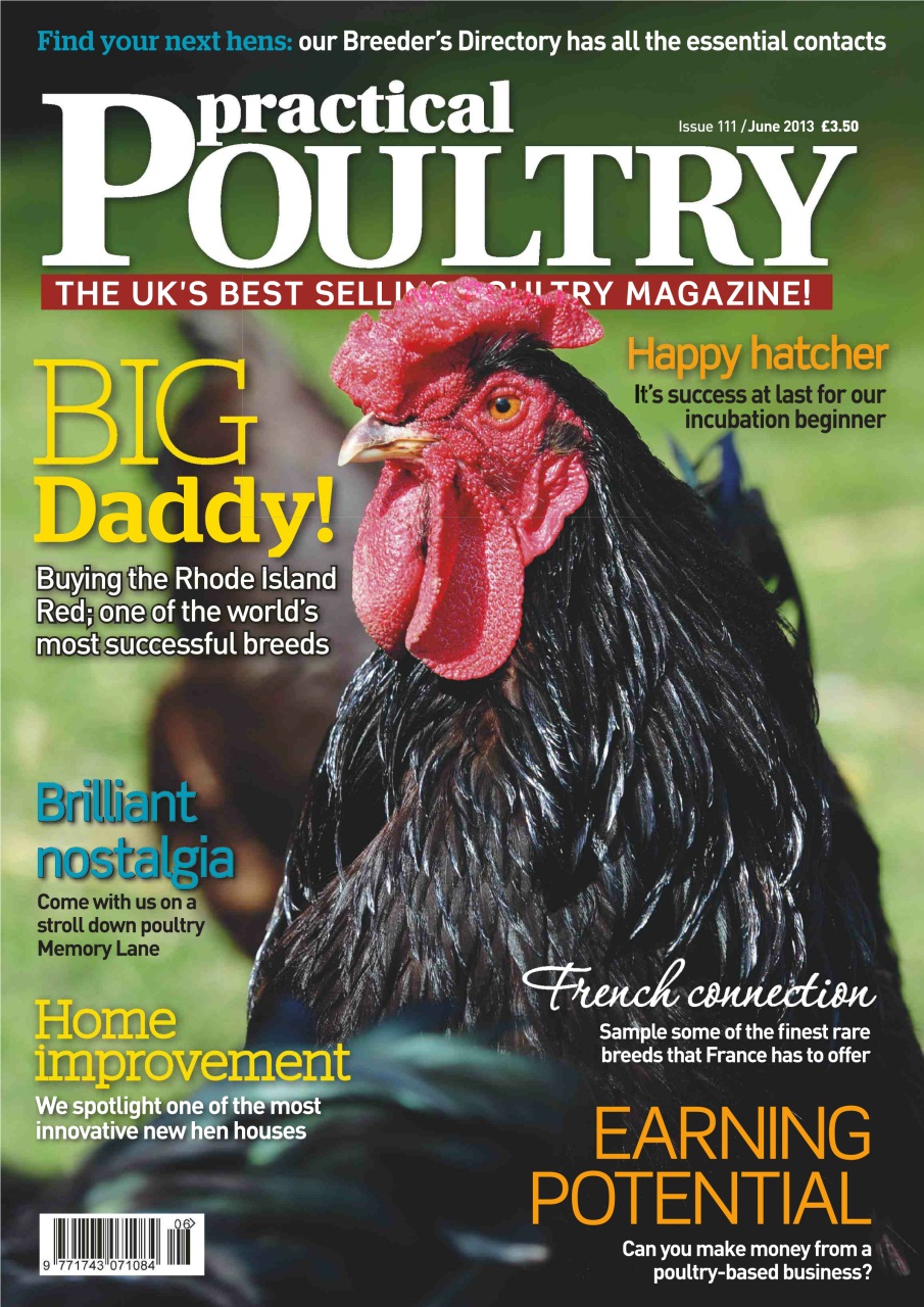 Practical Poultry Preview Pages