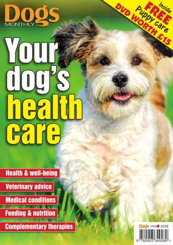 Your Dog's Health Care issue Your Dog's Health Care
