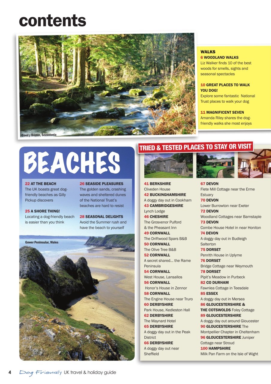 Dogs Monthly Preview Pages