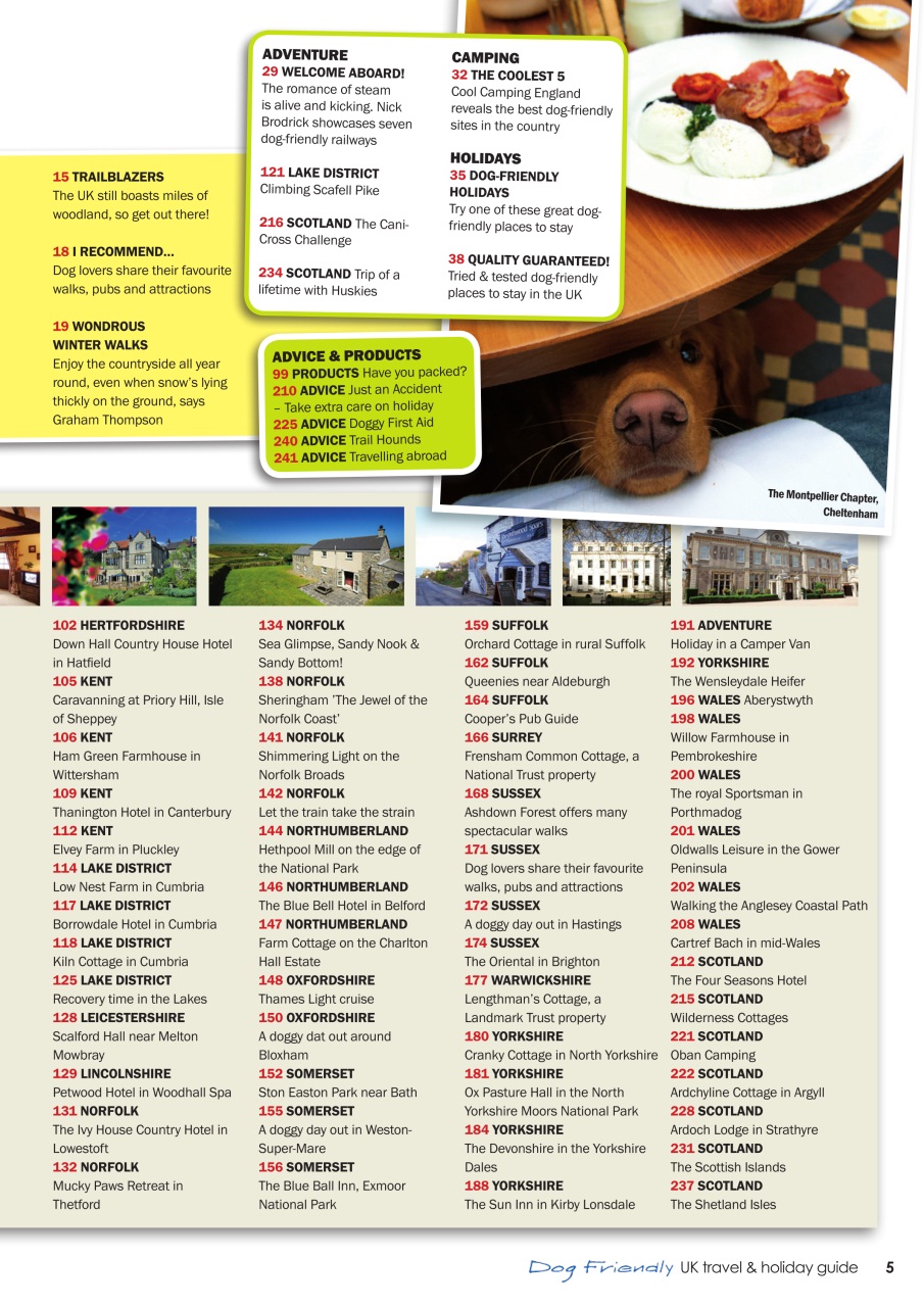 Dogs Monthly Preview Pages