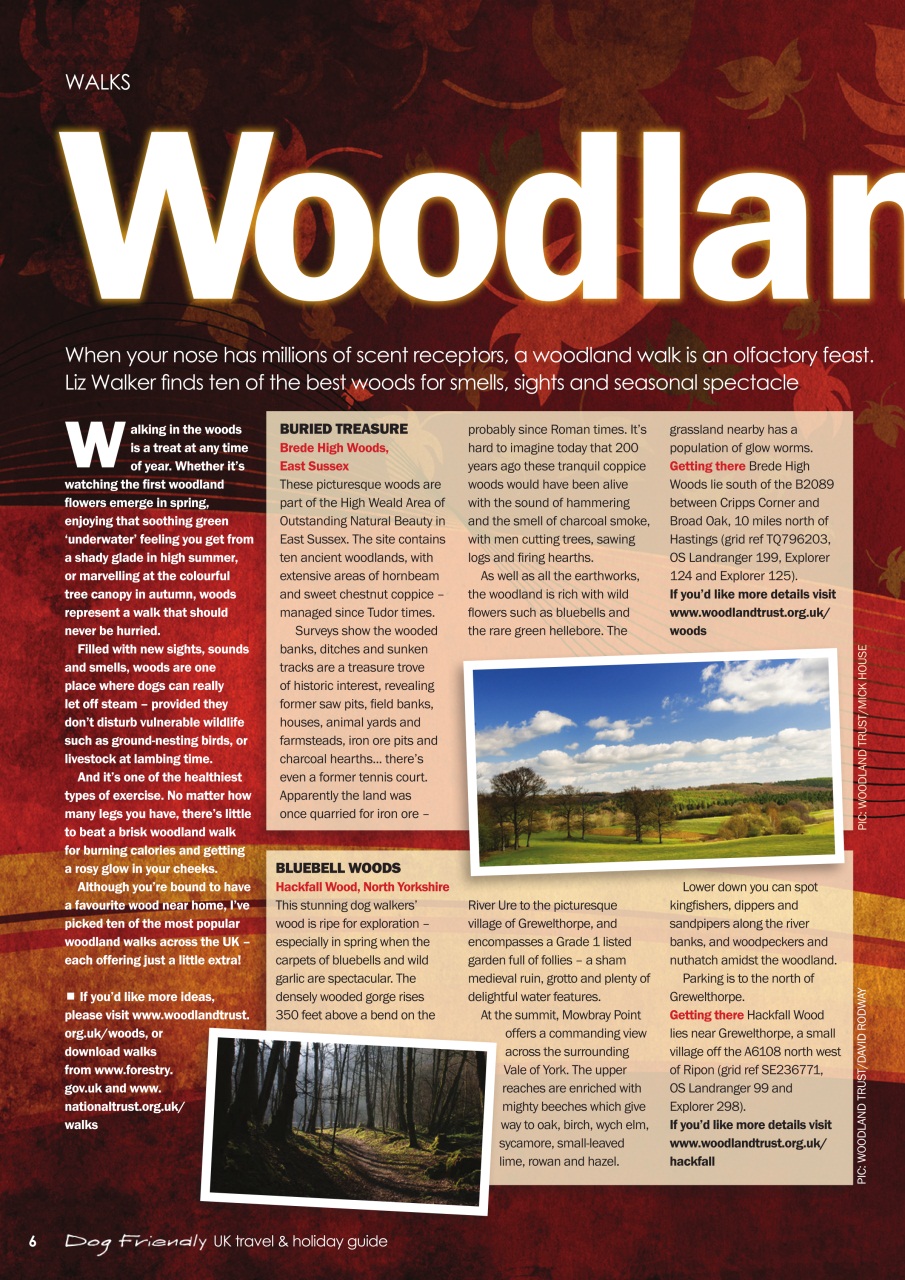 Dogs Monthly Preview Pages