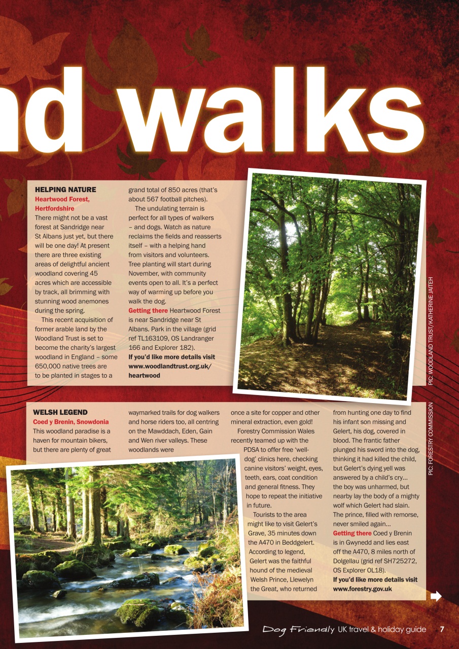 Dogs Monthly Preview Pages