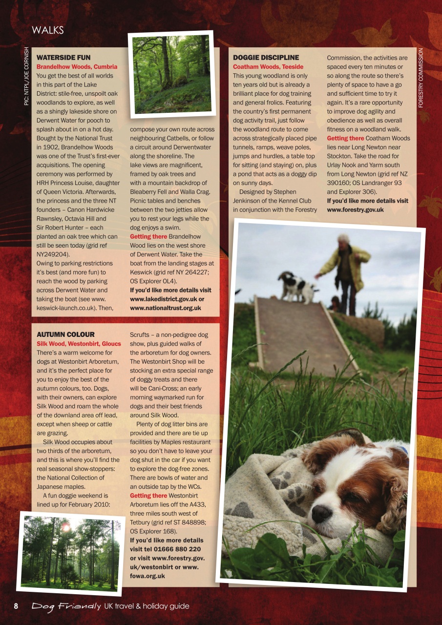Dogs Monthly Preview Pages