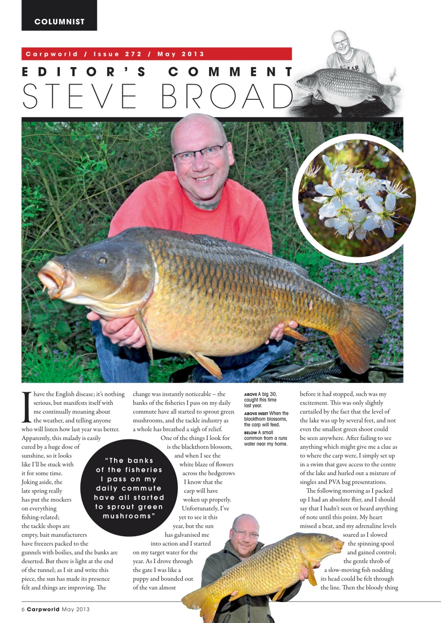 Carpworld Preview Pages