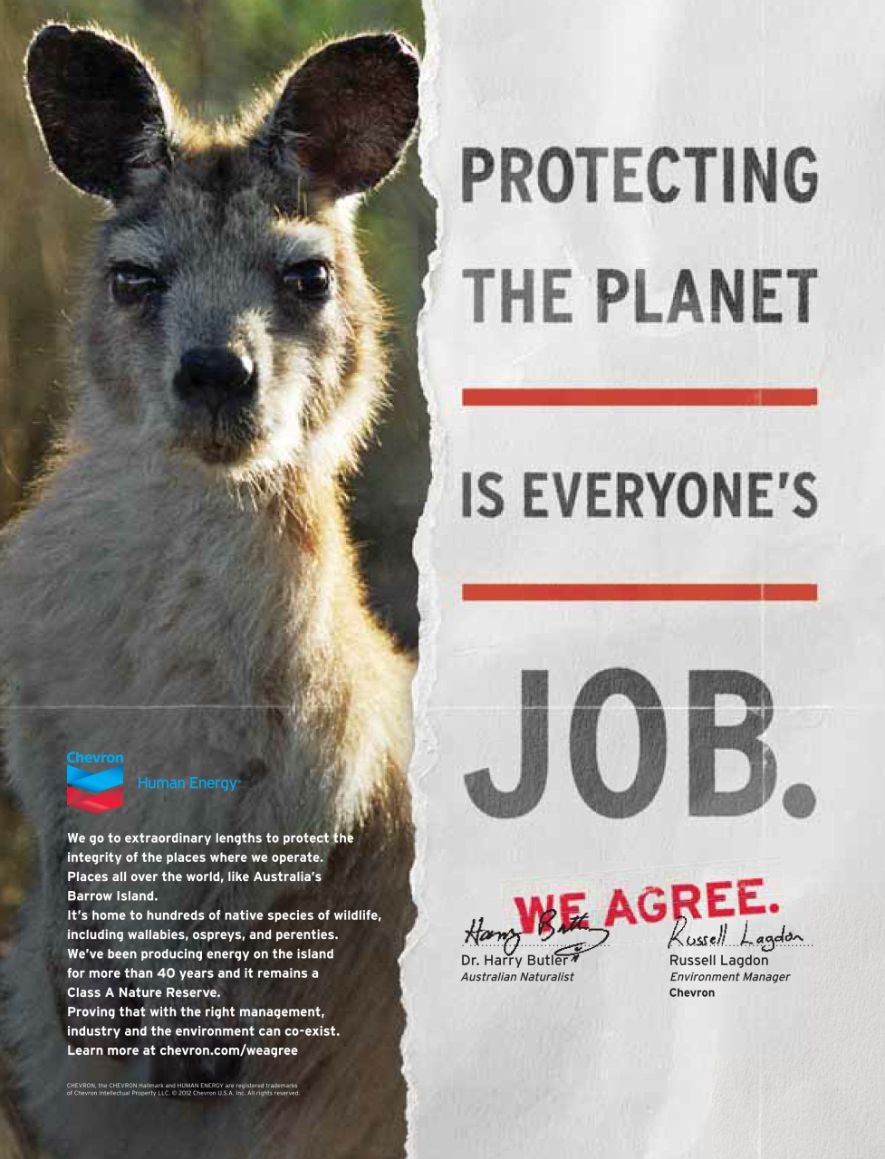 Prospect Magazine Preview Pages