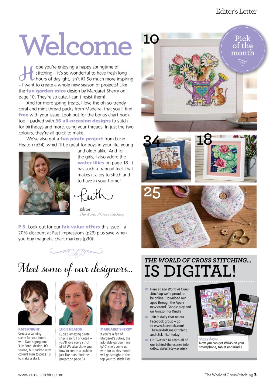 The World of Cross Stitching Preview Pages