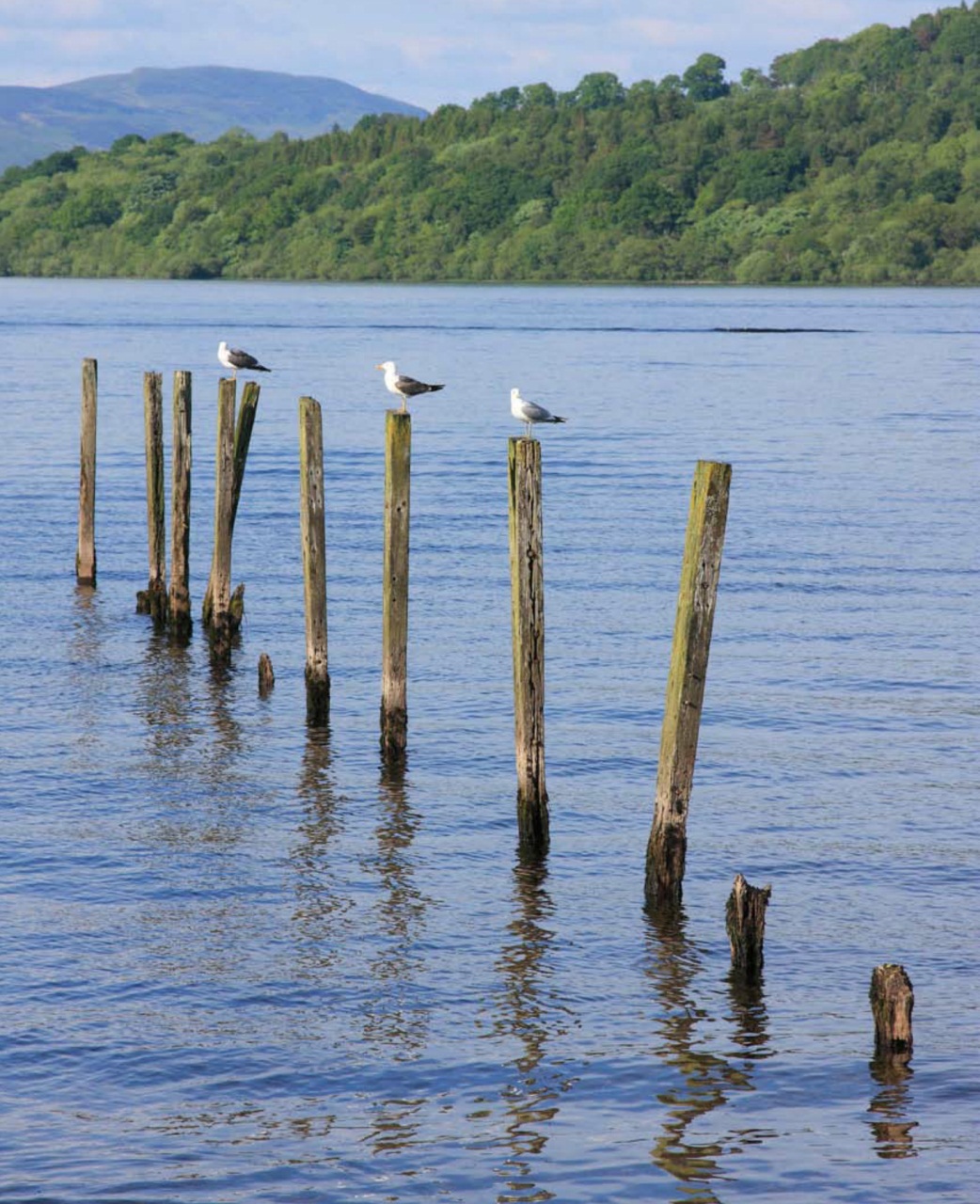 Outdoor Photography Preview Pages