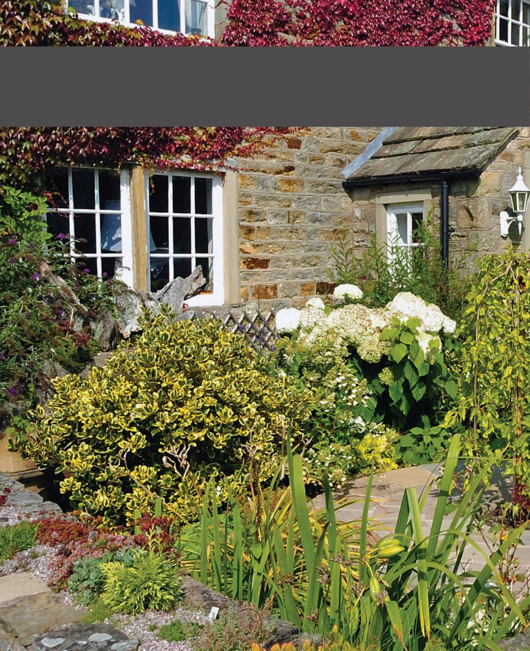 Outdoor Photography Preview Pages