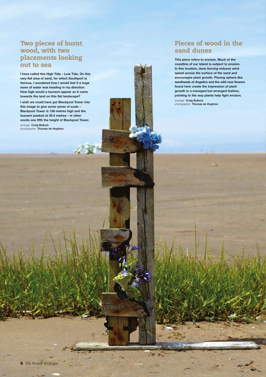 The Flower Arranger Preview Pages