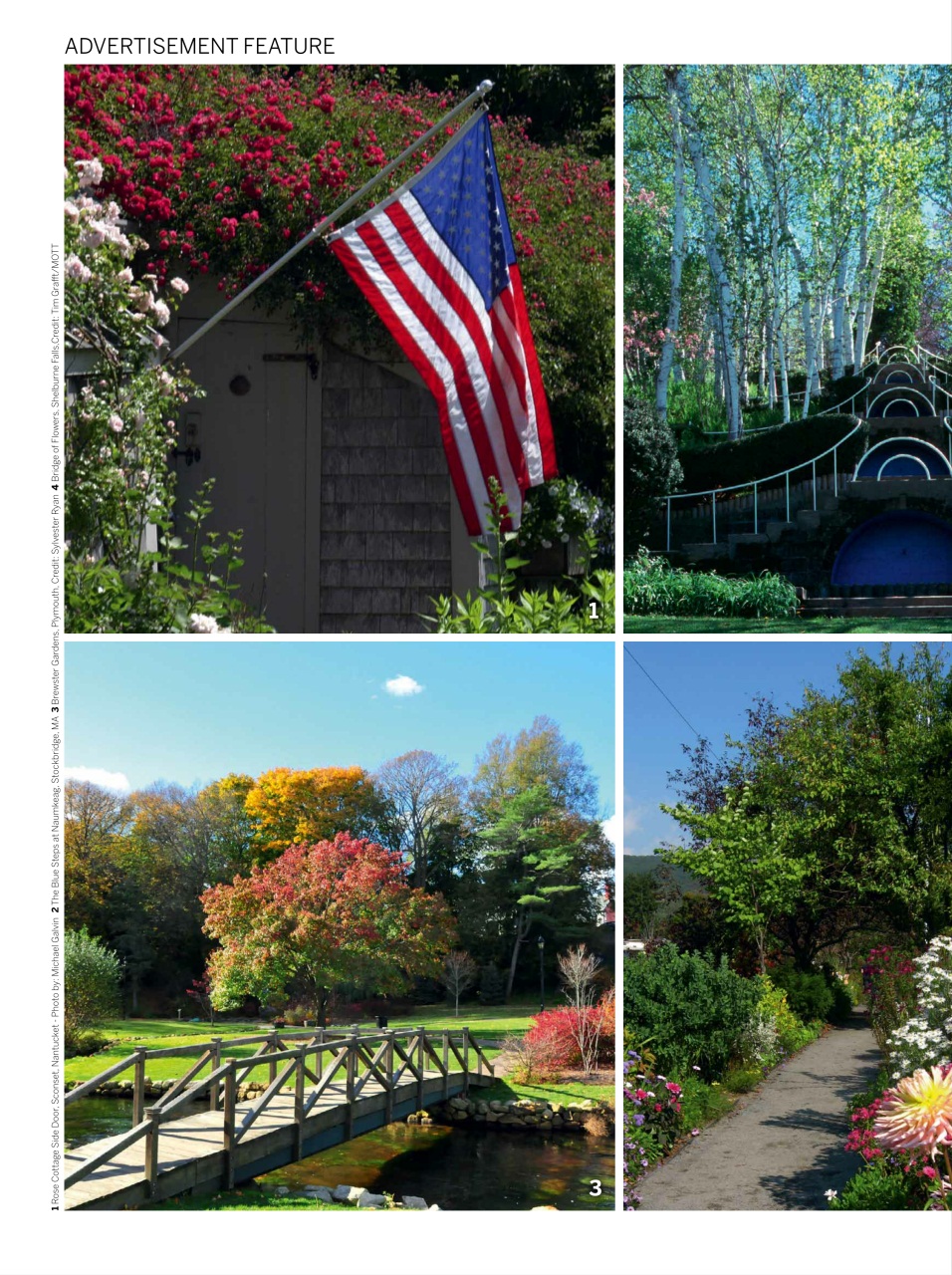 Gardens Illustrated Preview Pages