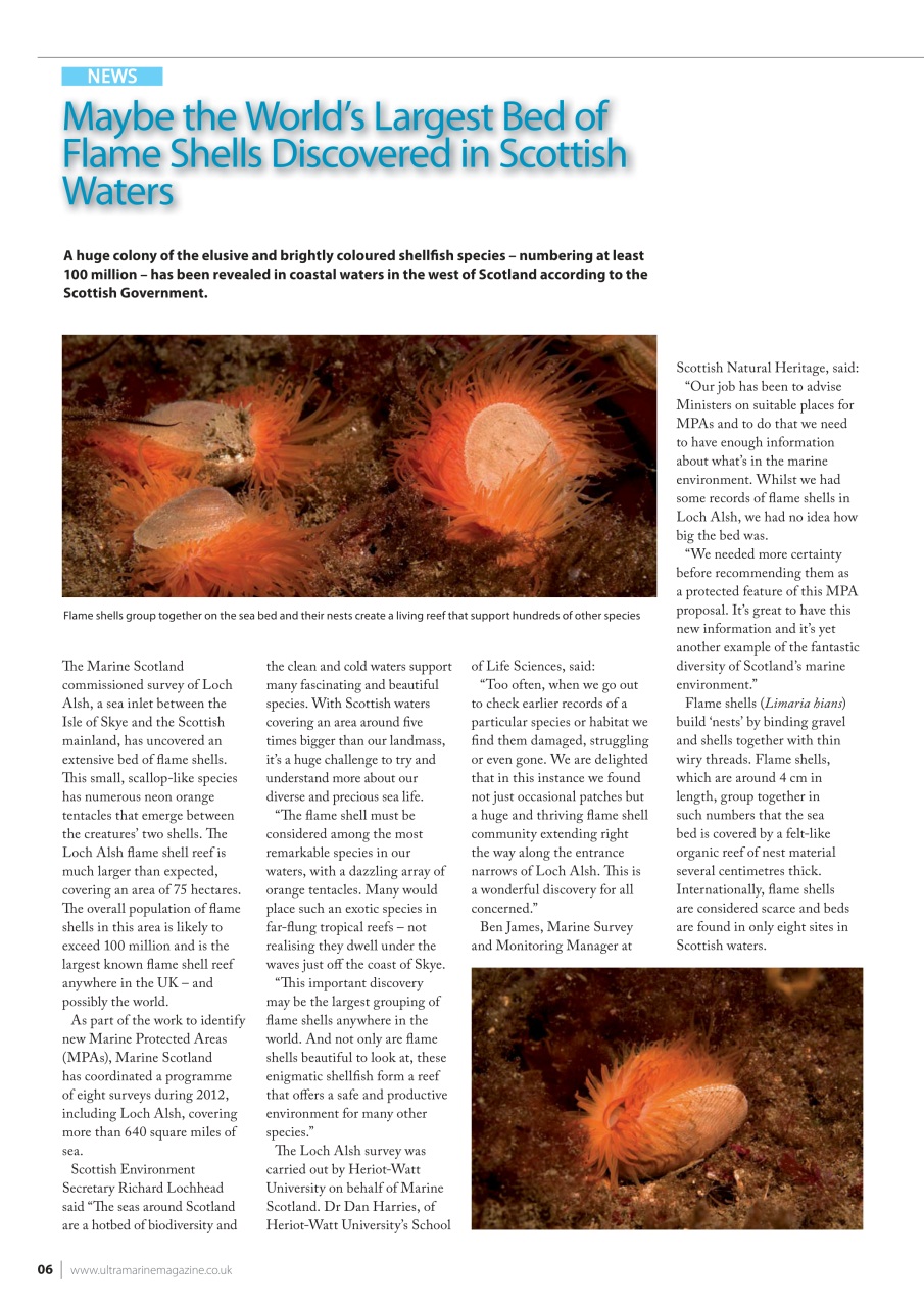 UltraMarine Magazine Preview Pages
