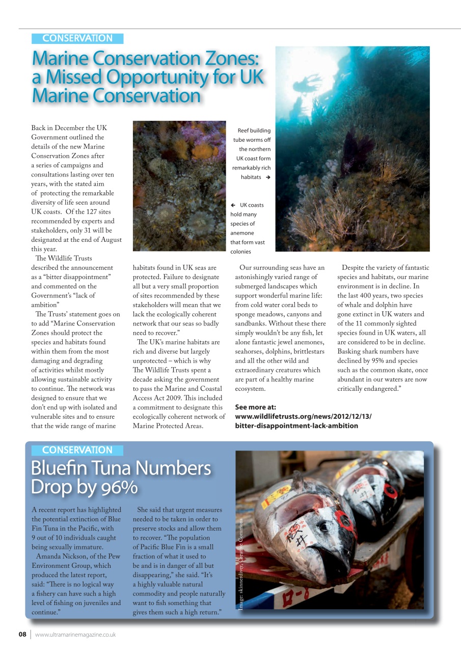 UltraMarine Magazine Preview Pages