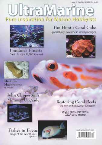 UltraMarine Magazine issue Issue 39