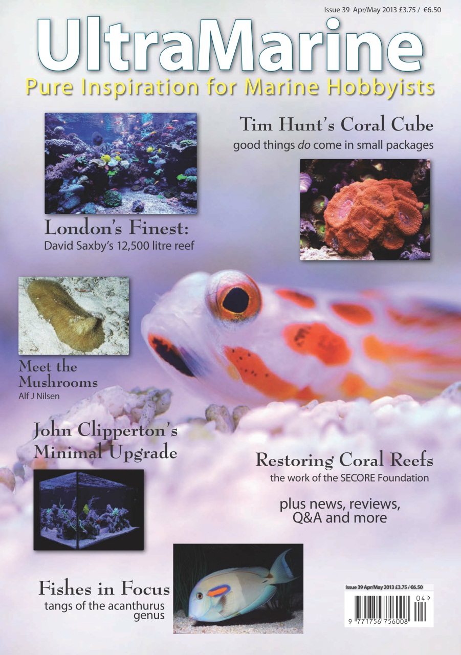 UltraMarine Magazine Preview Pages