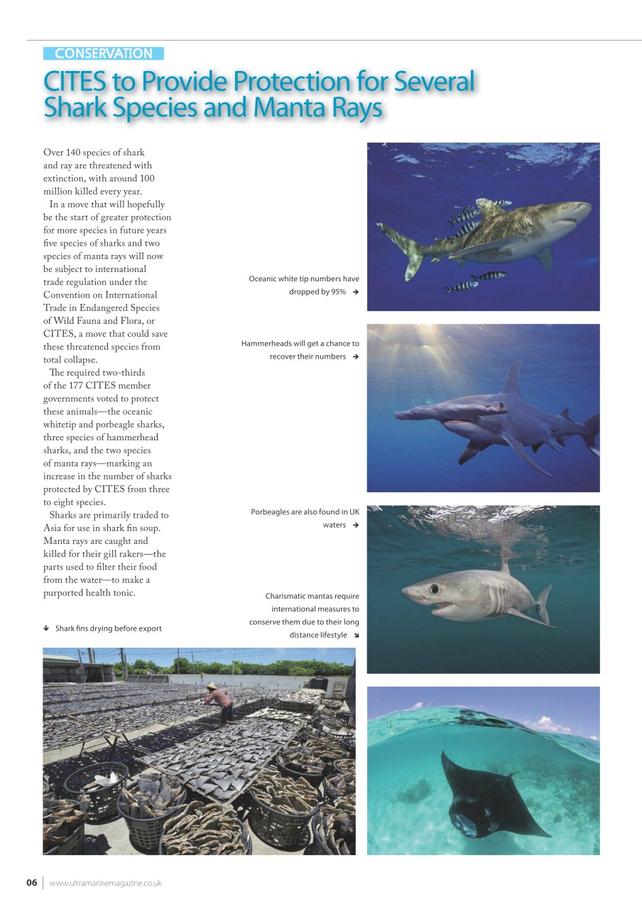 UltraMarine Magazine Preview Pages