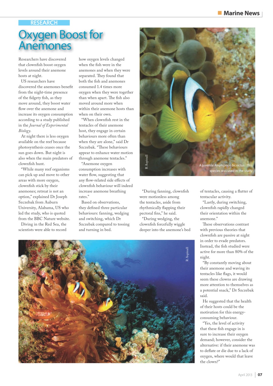 UltraMarine Magazine Preview Pages