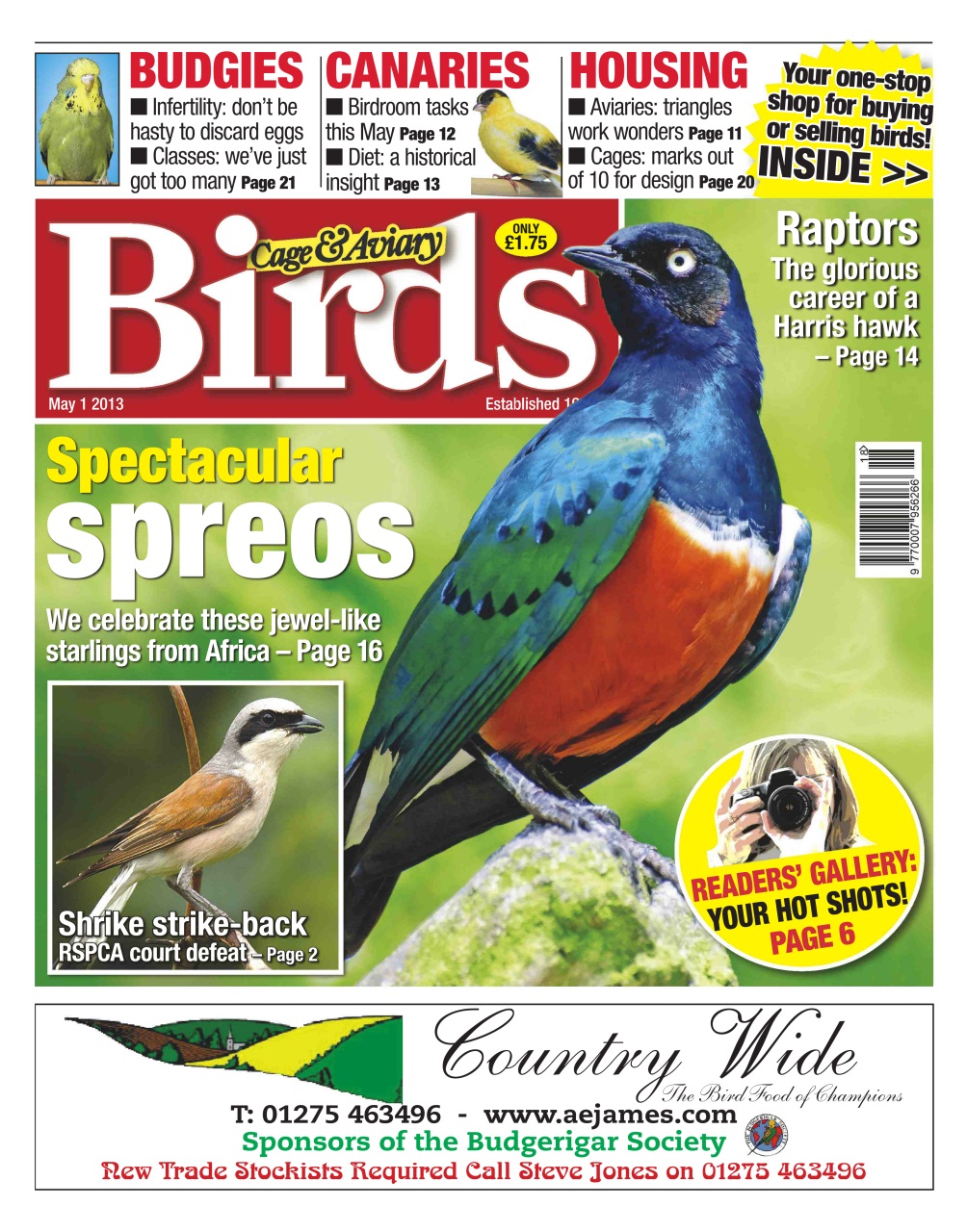 Cage & Aviary Birds Preview Pages