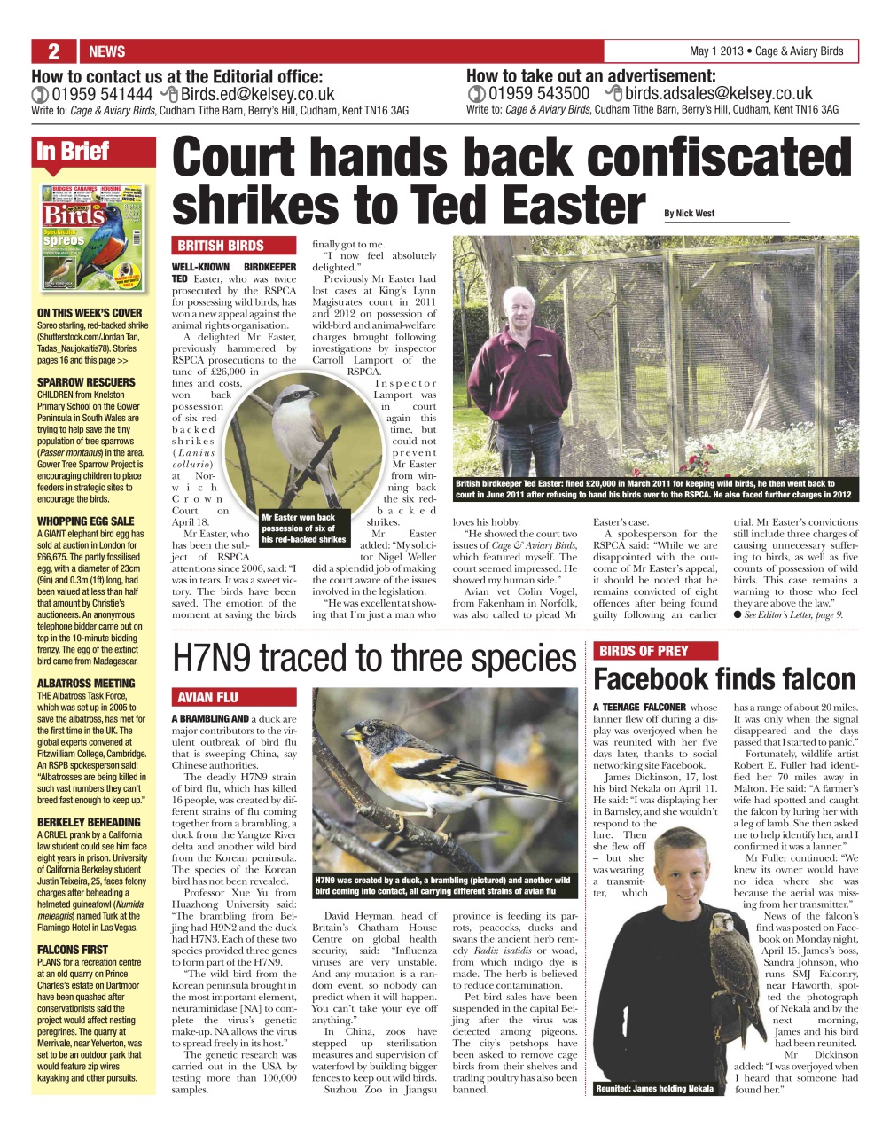 Cage & Aviary Birds Preview Pages