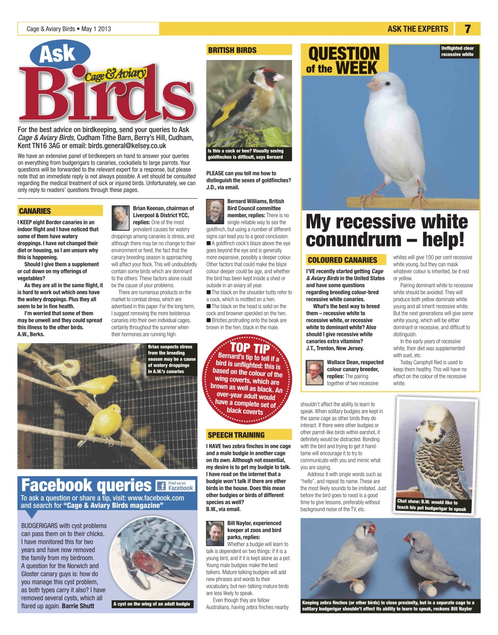 Cage & Aviary Birds Preview Pages