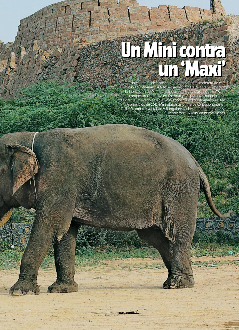 Auto Bild Preview Pages